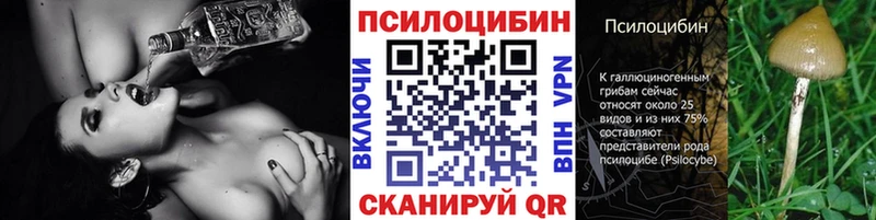 как найти   гидра ссылка  Галлюциногенные грибы MAGIC MUSHROOMS  Полярный 
